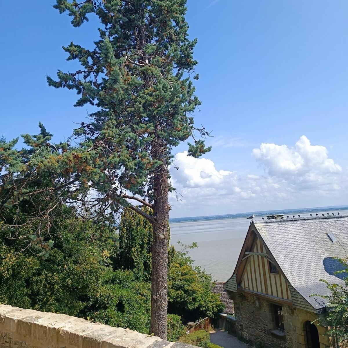 Вилла Chez Adele Mont-Saint-Michel Экстерьер фото